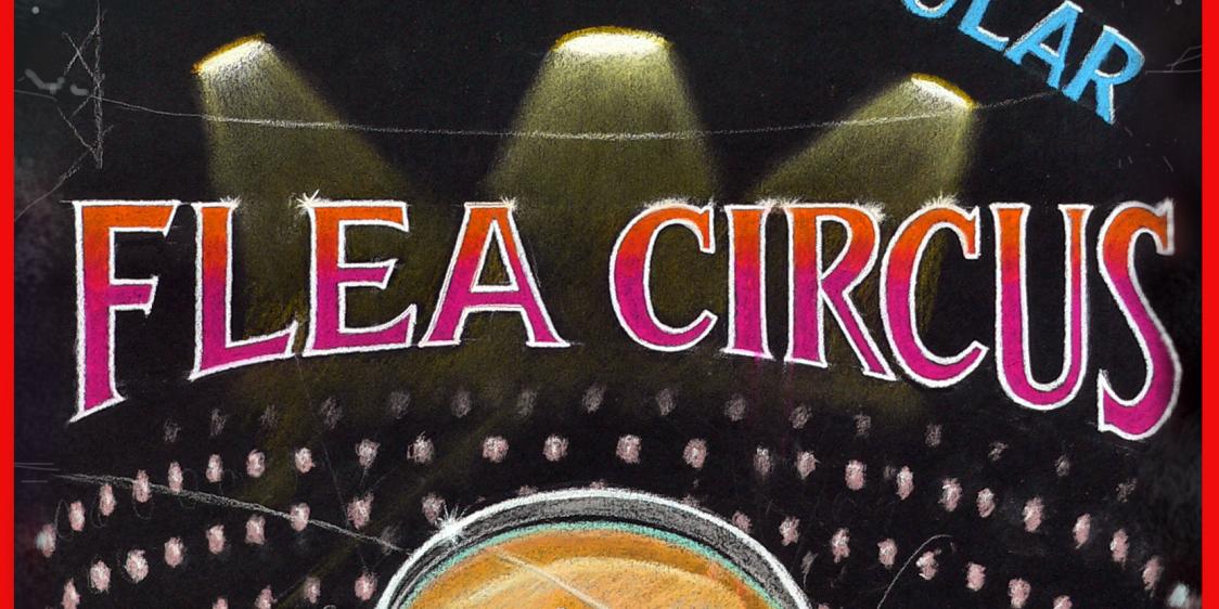 The Flea Circus Ards Puppet Festival